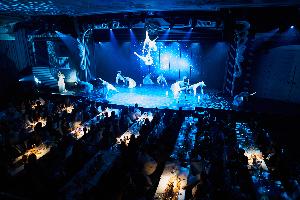 Sehen, Staunen und Genießen: Europa-Park Dinner-Show